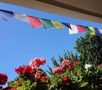 Bed & Breakfast Bonn 24 Mai Bis14 Juni Mit Hund In Der Wohnung Exteriör bild