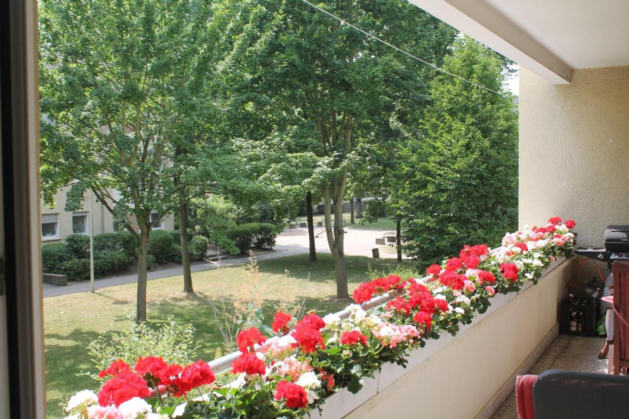 Bed & Breakfast Bonn 24 Mai Bis14 Juni Mit Hund In Der Wohnung Exteriör bild